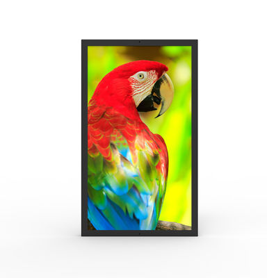 comprar Ecrãs digitais comerciais HDMI resistentes à água 49 polegadas Ultrawide Monitor online manufacture