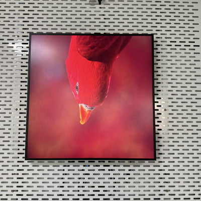comprar Resolução 948*948 Quadrado All In One Digital Signage com USB HDMI RJ45 Interface Fabricação em linha
