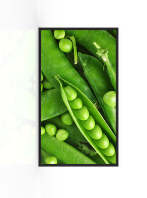 Anúncio de Display à prova d'água de 3000nits